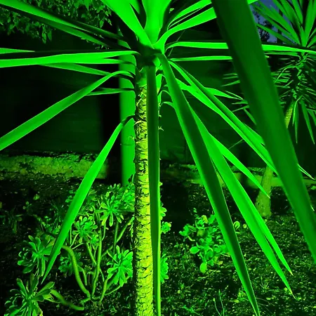 Carpe Diem Bed & Breakfast